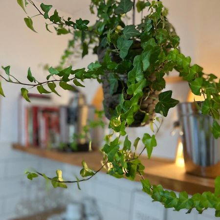 Charming Appartement In The Heart Of บาร์เซโลนา ภายนอก รูปภาพ