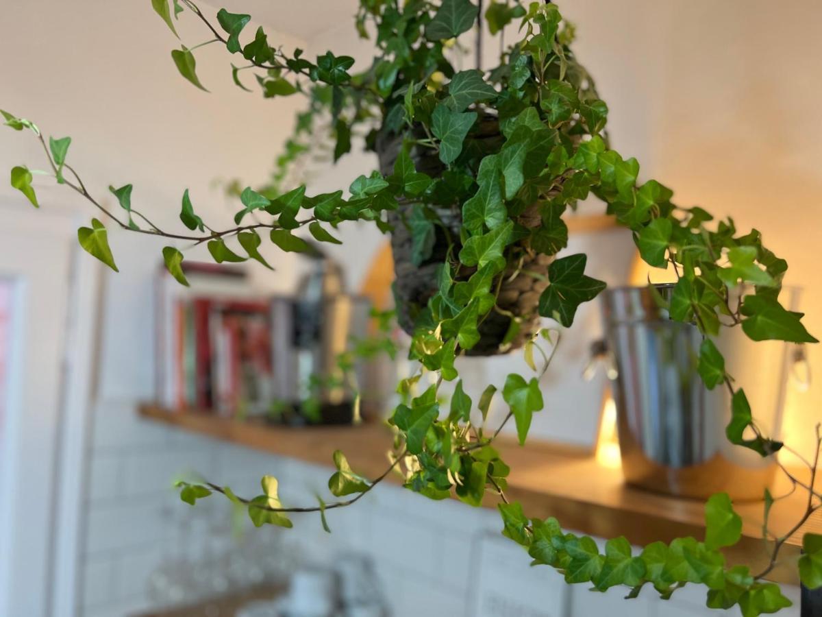 Charming Appartement In The Heart Of บาร์เซโลนา ภายนอก รูปภาพ